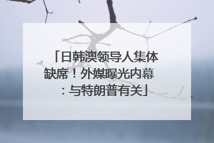 日韩澳领导人集体缺席！外媒曝光内幕：与特朗普有关